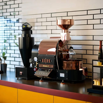 DY-1Kg Small Business Artisan/Cropster Coffee Roaster