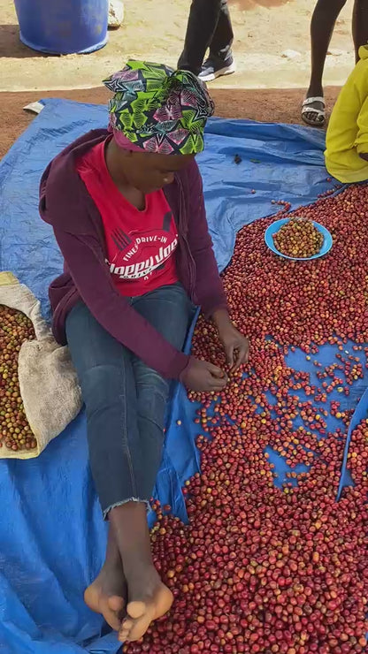 Rwanda Nyakibanda Natural (רואנדה  ) נטורל ניאקיבנדה | קפה ירוק | לפי ק"ג