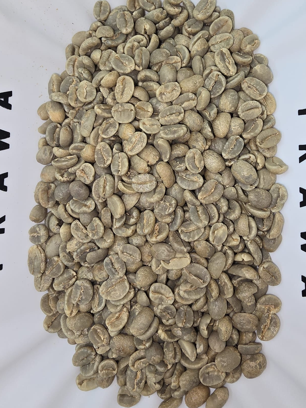 Rwanda Nyakibanda Washed  (רואנדה ניאקיבנדה שטוף) קפה ירוק | לפי ק"ג | קיימת הנחת כמות
