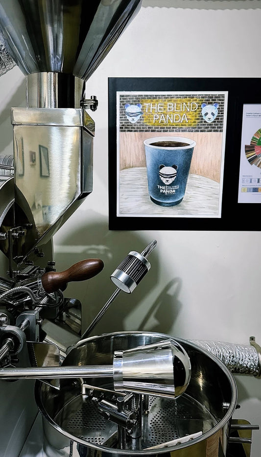 DY-1Kg Small Business Artisan/Cropster Coffee Roaster