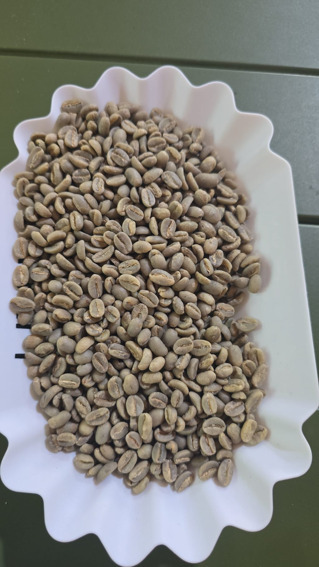 Unwashed Yirgashaf Gr3