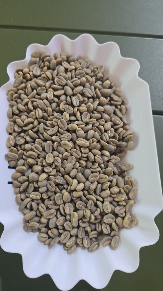 Unwashed Yirgashaf Gr3