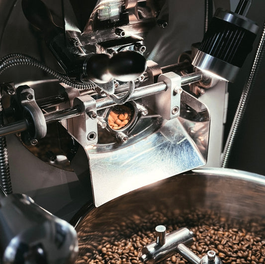 DY-1Kg Small Business Artisan/Cropster Coffee Roaster