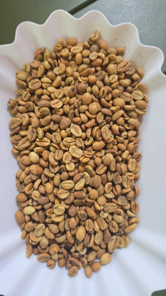 Ethiopian Gr1 anaerobic fermented green coffee