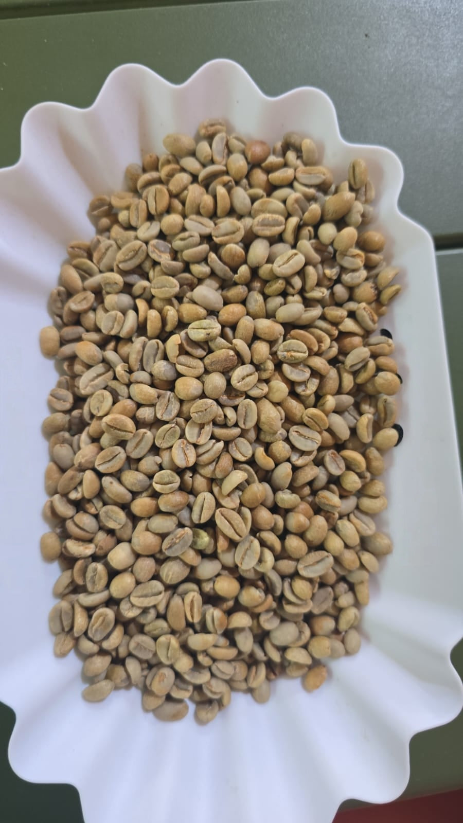 Unwashed Goji Green Coffee Ethiopia G1