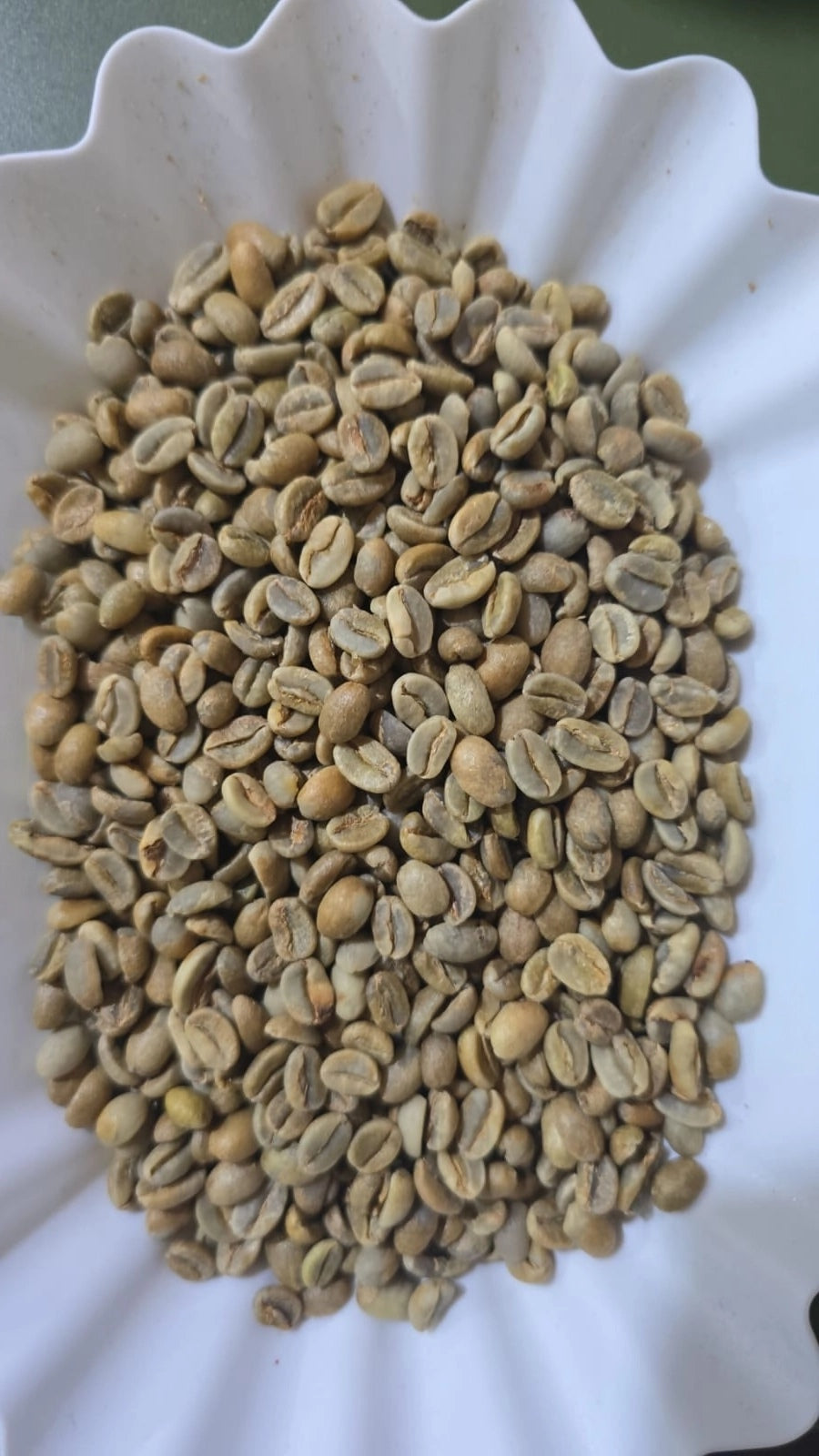 יירגשף 1 נטורל 24-25