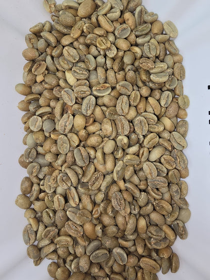 Ethiopian Gr1 anaerobic fermented green coffee