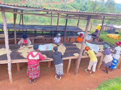 Rwanda Nyakibanda Natural (רואנדה  ) נטורל ניאקיבנדה | קפה ירוק | לפי ק"ג