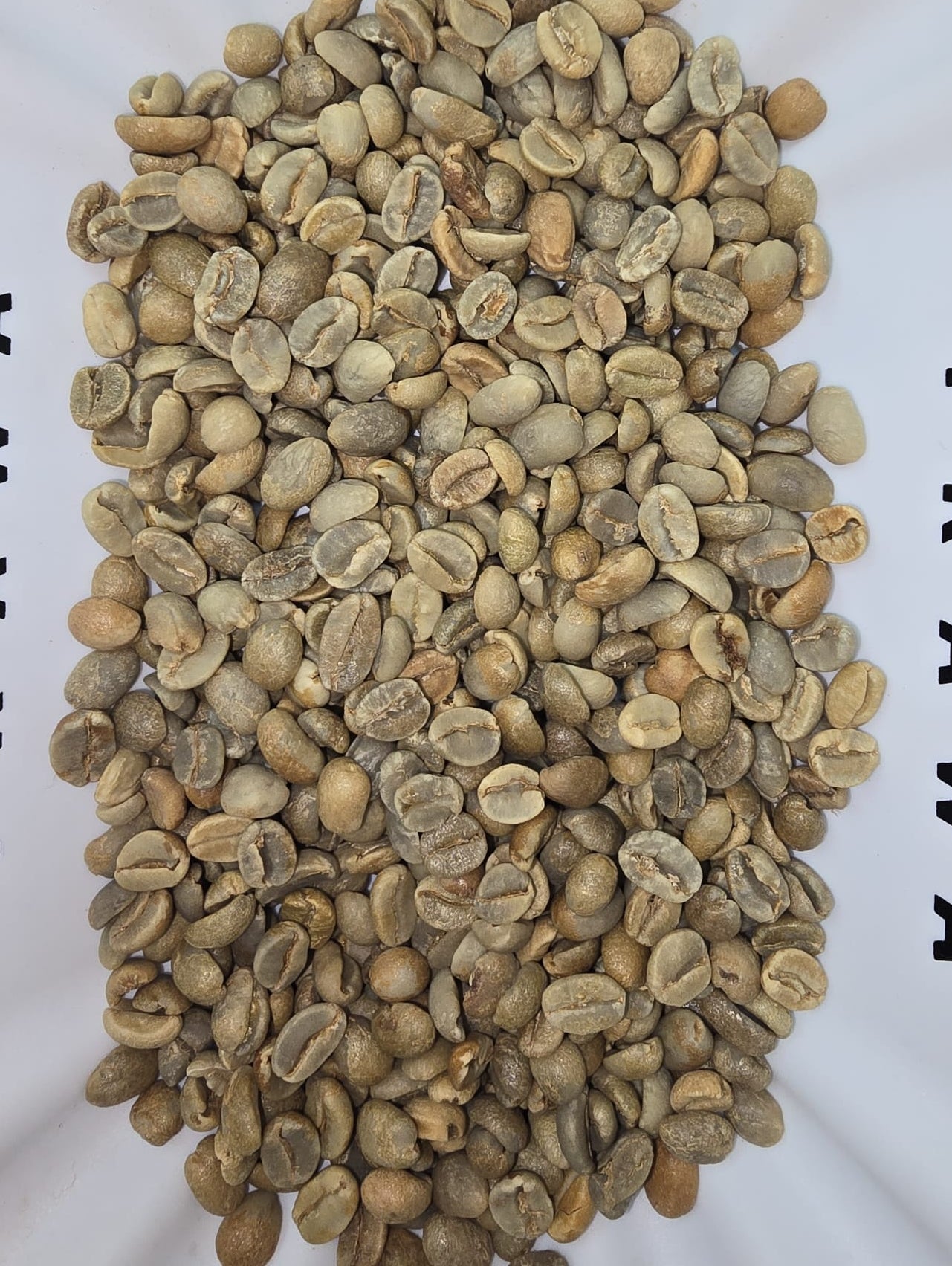 Rwanda Nyakibanda Natural (רואנדה  ) נטורל ניאקיבנדה | קפה ירוק | לפי ק"ג