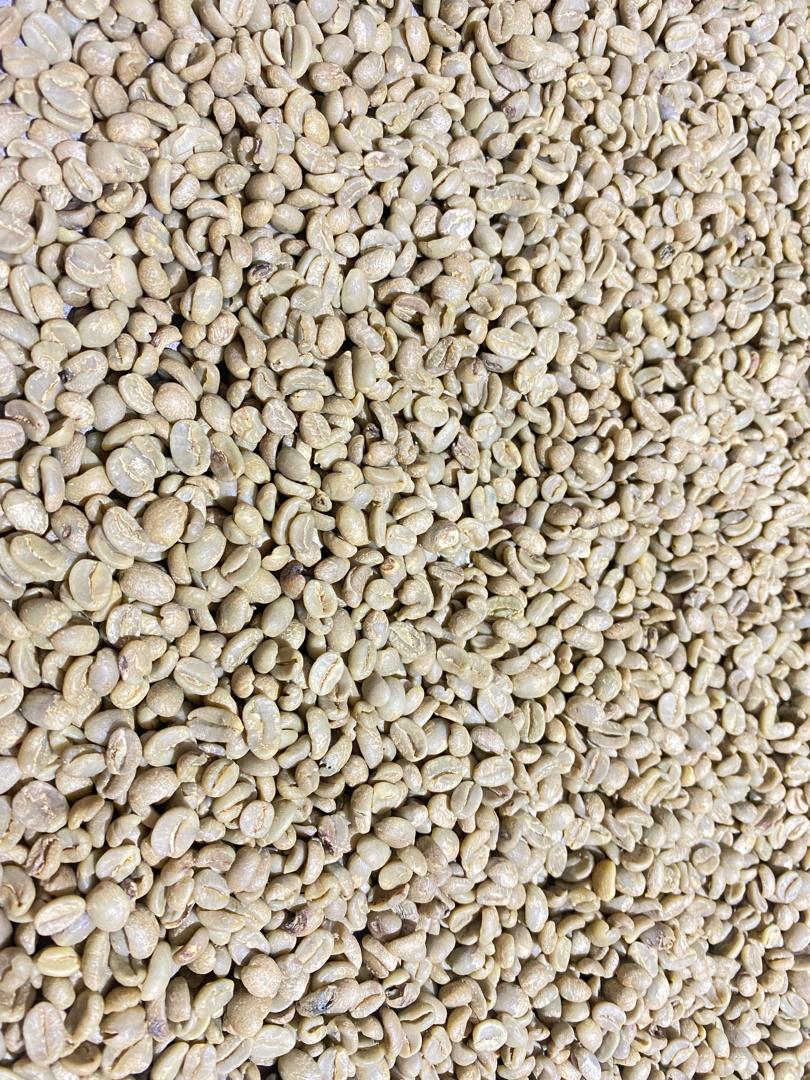 Rwanda Nyakibanda Washed  (רואנדה ניאקיבנדה שטוף) קפה ירוק | לפי ק"ג | קיימת הנחת כמות