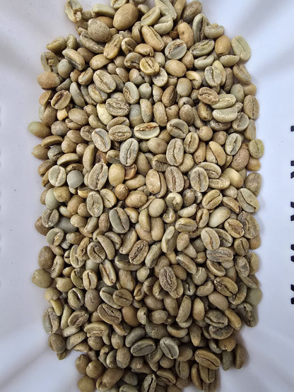 Ethiopian Gr1 anaerobic fermented green coffee