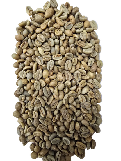 Ethiopian Gr1 anaerobic fermented green coffee
